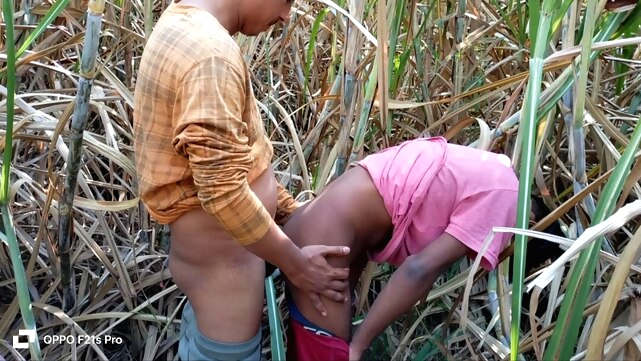 Indian Gay - College Three boys from a small village have sex with a real girl in the fields xxx beach (gay) video